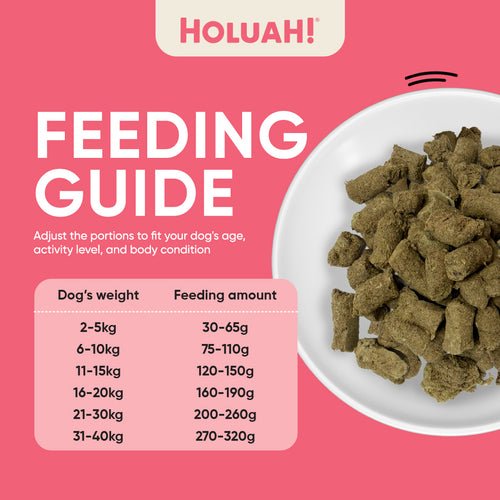 Freeze Dried Raw Beef