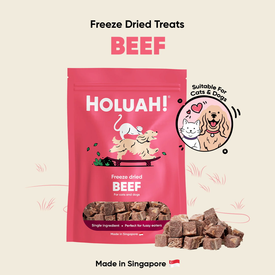Freeze Dried Beef