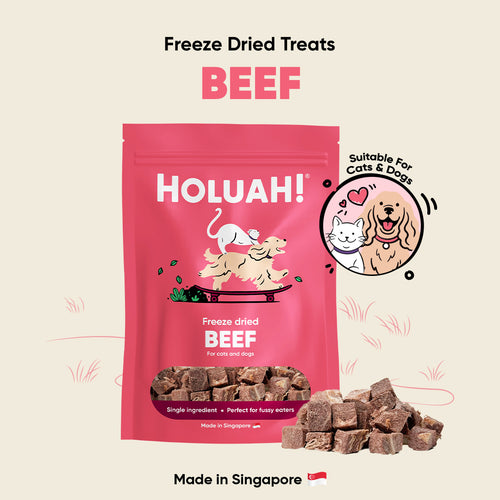 Freeze Dried Beef