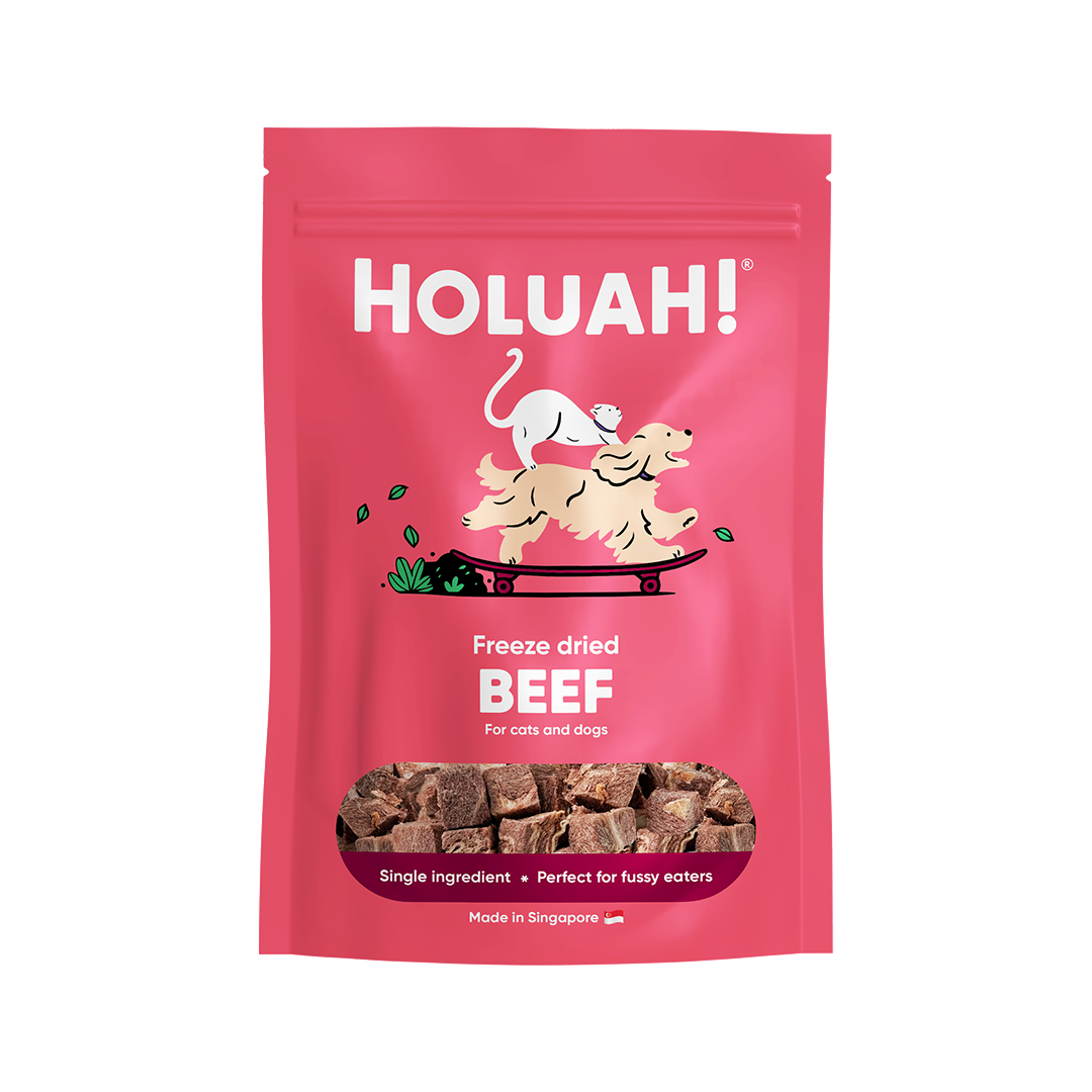 Freeze Dried Beef