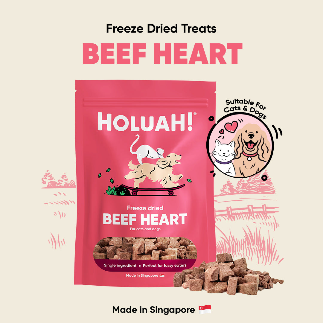 Freeze Dried Beef Heart