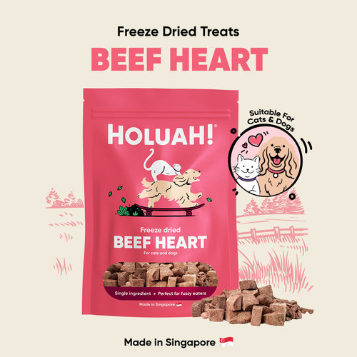 Freeze Dried Beef Heart