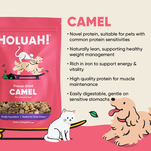 Freeze Dried Camel