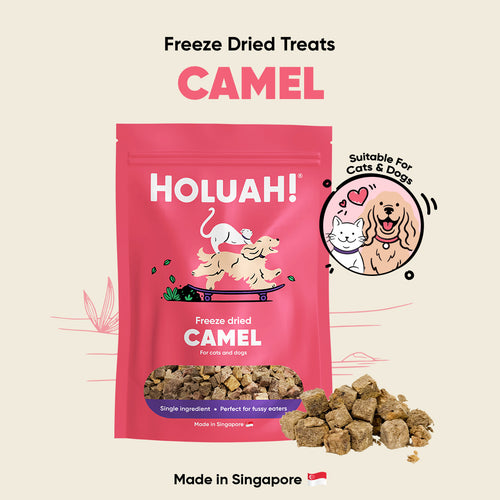 Freeze Dried Camel