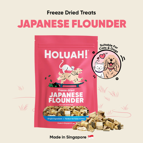 Freeze Dried Japanese Flounder