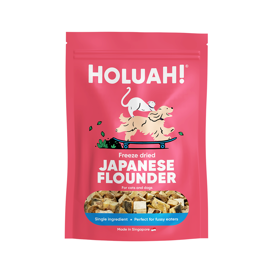Freeze Dried Japanese Flounder