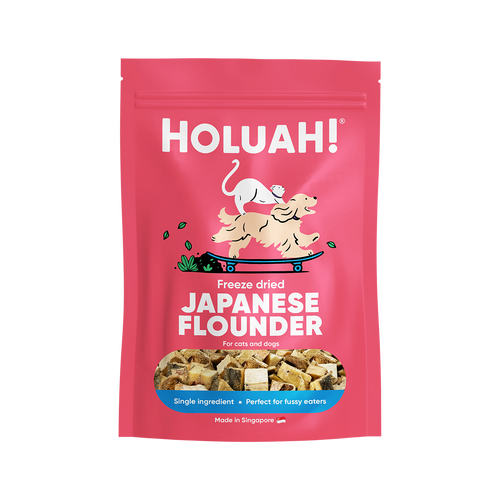 Freeze Dried Japanese Flounder