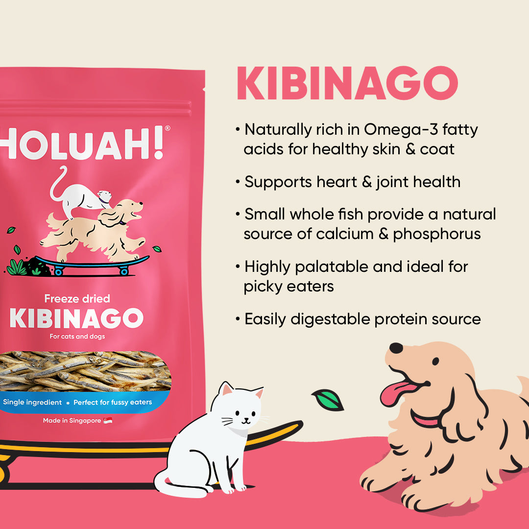 Freeze Dried Kibinago