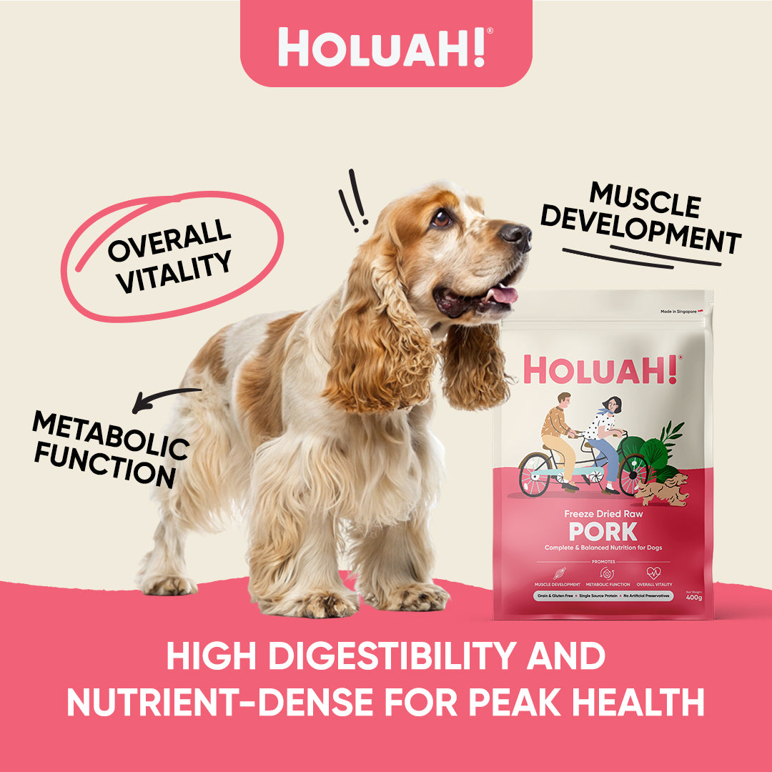 Freeze Dried Raw Pork