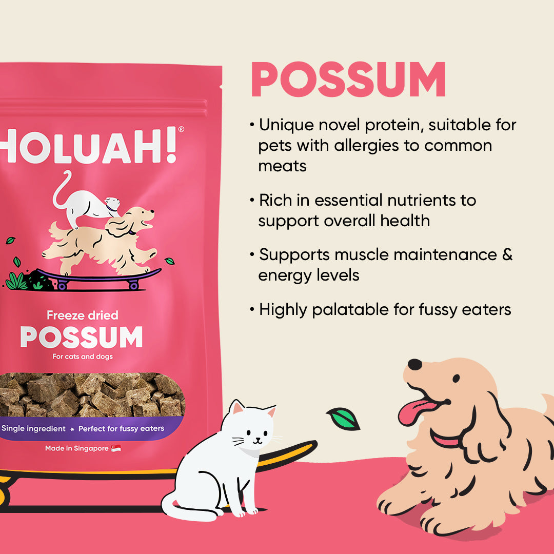 Freeze Dried Possum