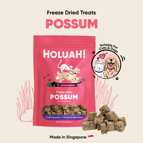 Freeze Dried Possum