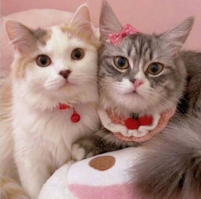 Lala & Lulu