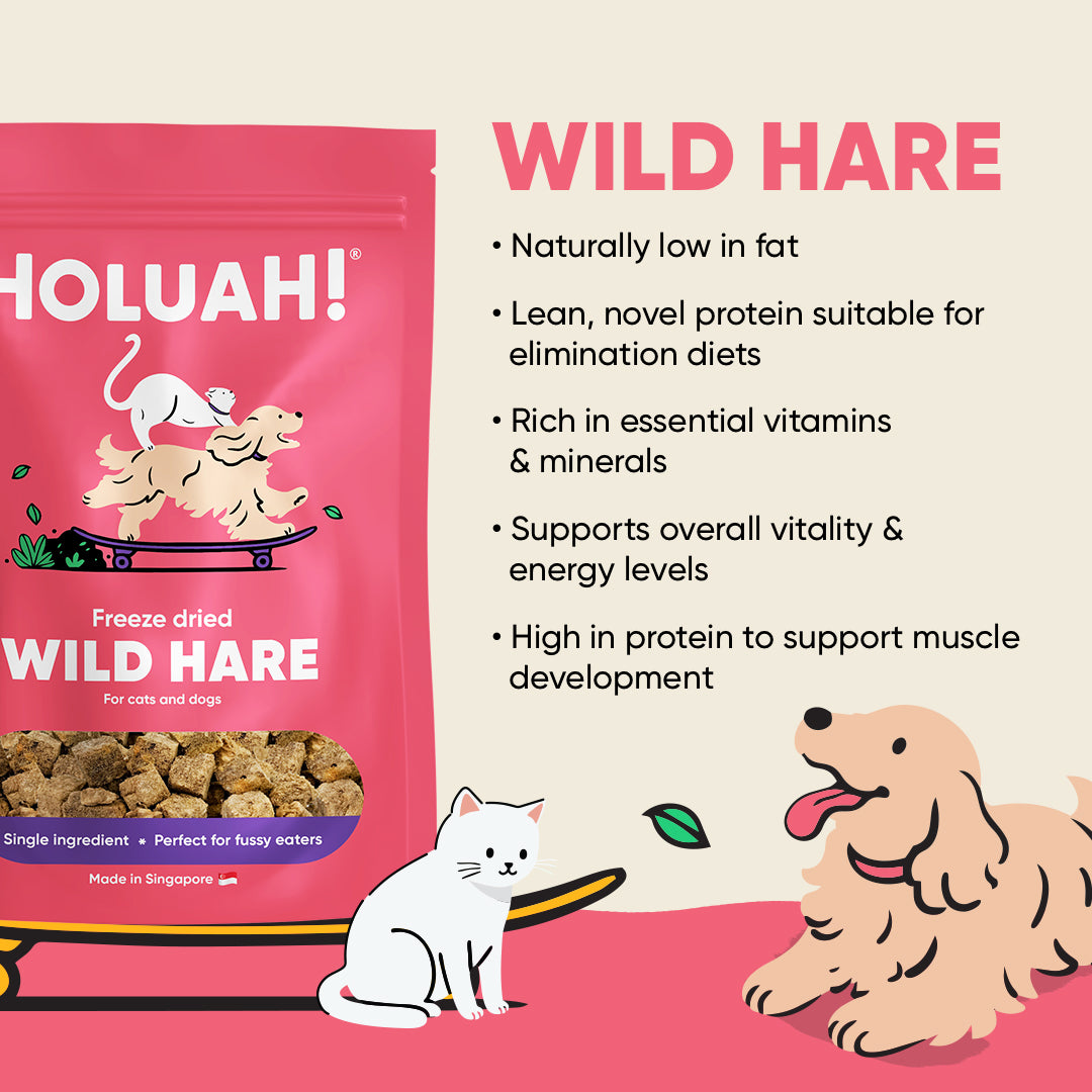 Freeze Dried Wild Hare