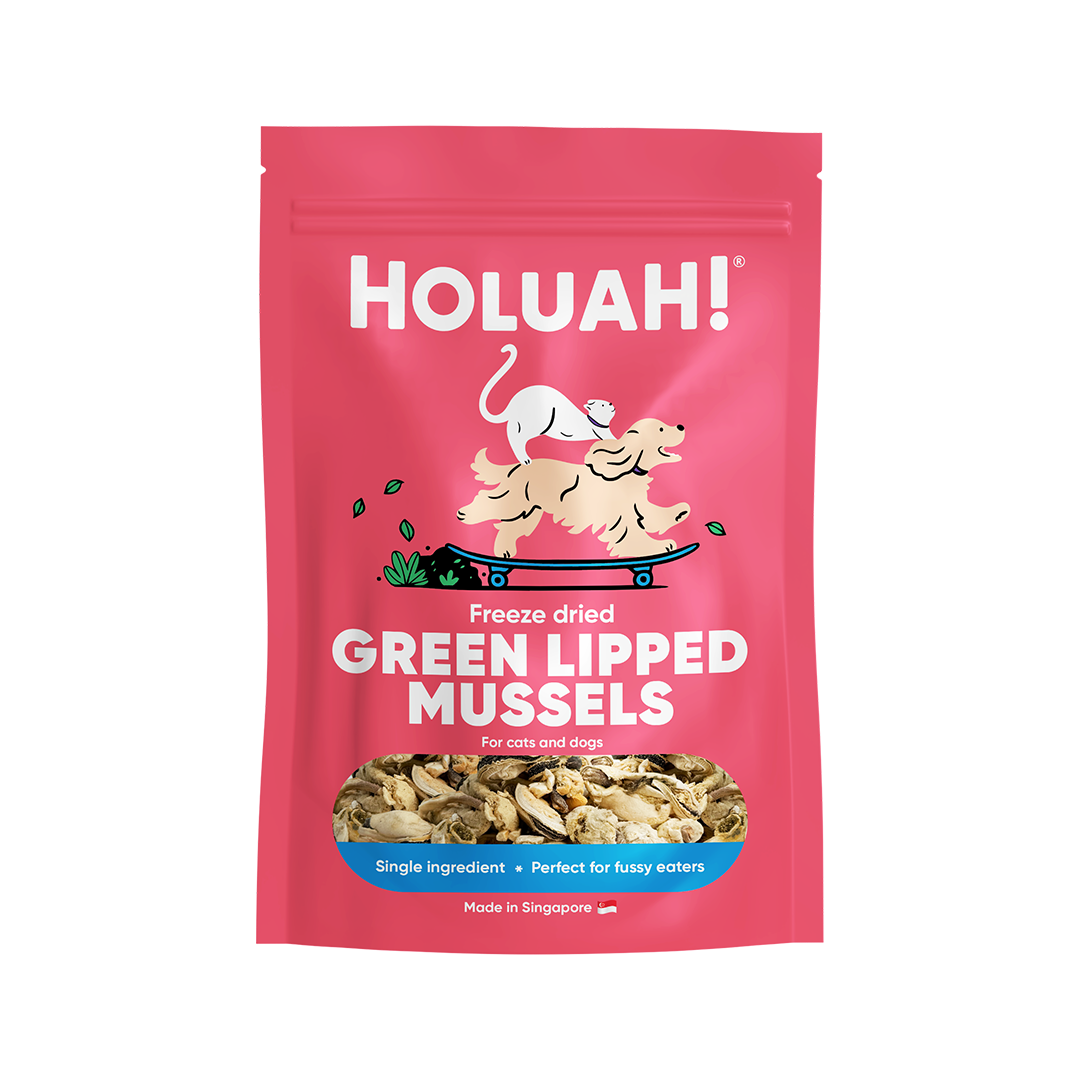 Freeze Dried Green Lipped Mussels