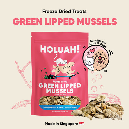 Freeze Dried Green Lipped Mussels