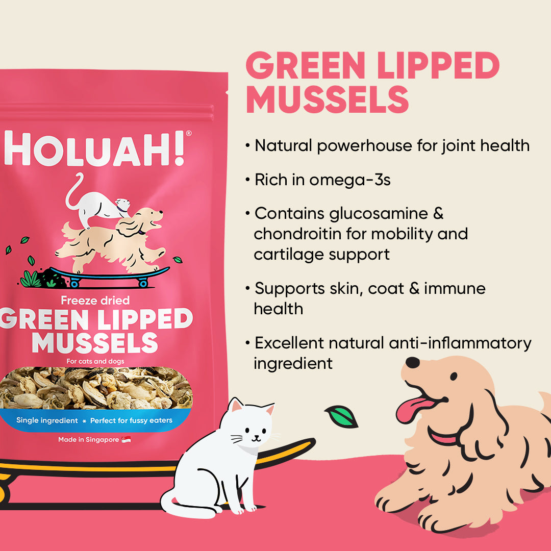 Freeze Dried Green Lipped Mussels